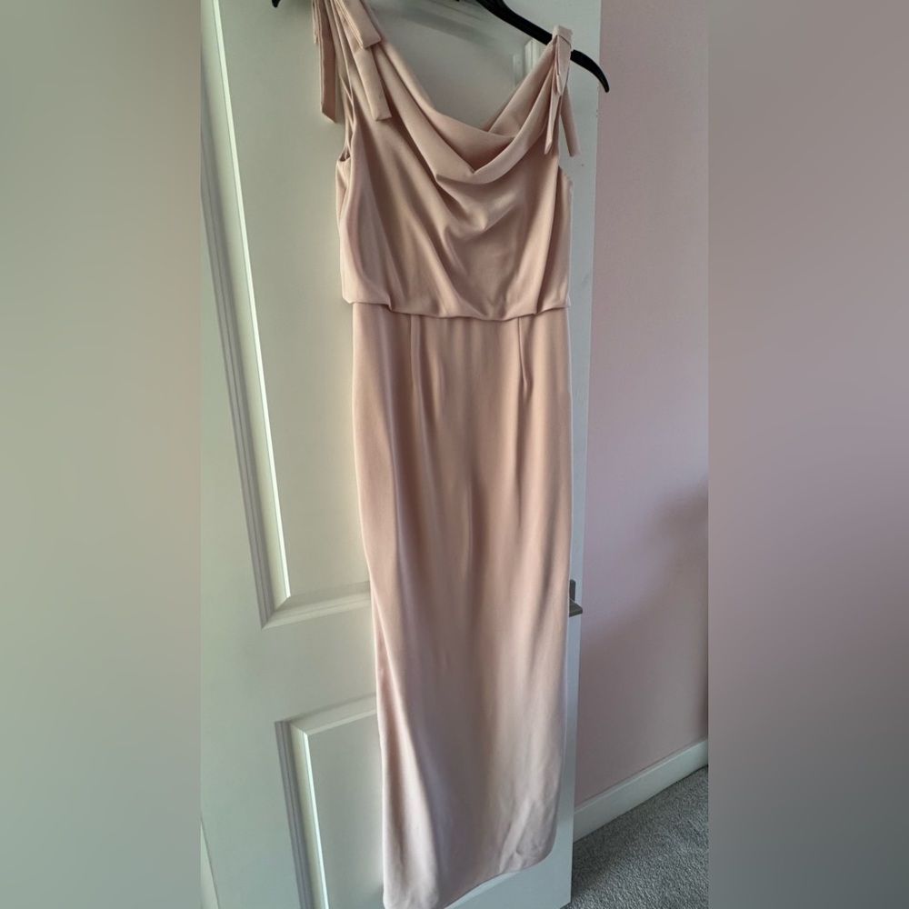 Adrianna Papell Sleeveless Long Cowl Neck Gown Size 6 Blush Pink color - Picture 3 of 3